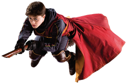 HBP Harry Playing Quidditch™