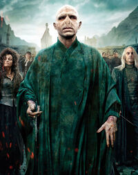 Harry-potter-lord-voldemort-r2