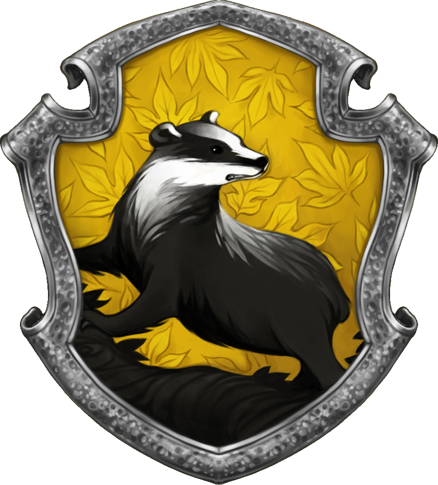 Just finished this Hufflepuff diamond painting : r/harrypotter
