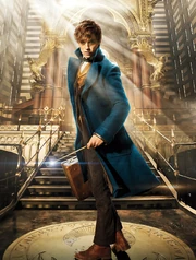 FBaWtFT promo Newt Scamander