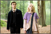 K,Njg4MjEzNjAsNDcxMjAxMzE=,f,luna-harry-1-