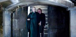 Voldemort and Wormtail in the Malfoy Manor cellar