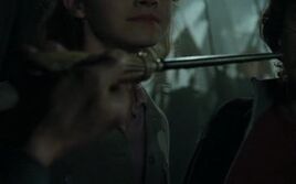 Barty Crouch wand