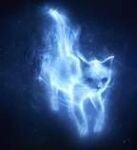 Minerva McGonagall's Patronus, a cat.