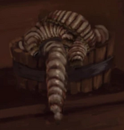 Giant grub PM