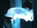 Hedgehog Patronus.png (159 KB) Hedgehog