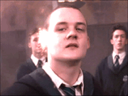Josh Herdman as Gregory Goyle