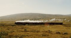 Platform Nine and Three Quarters.jpg