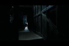 PDVD 026.jpg