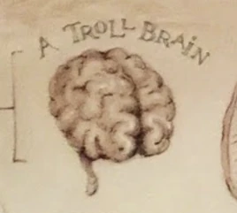 Troll brain
