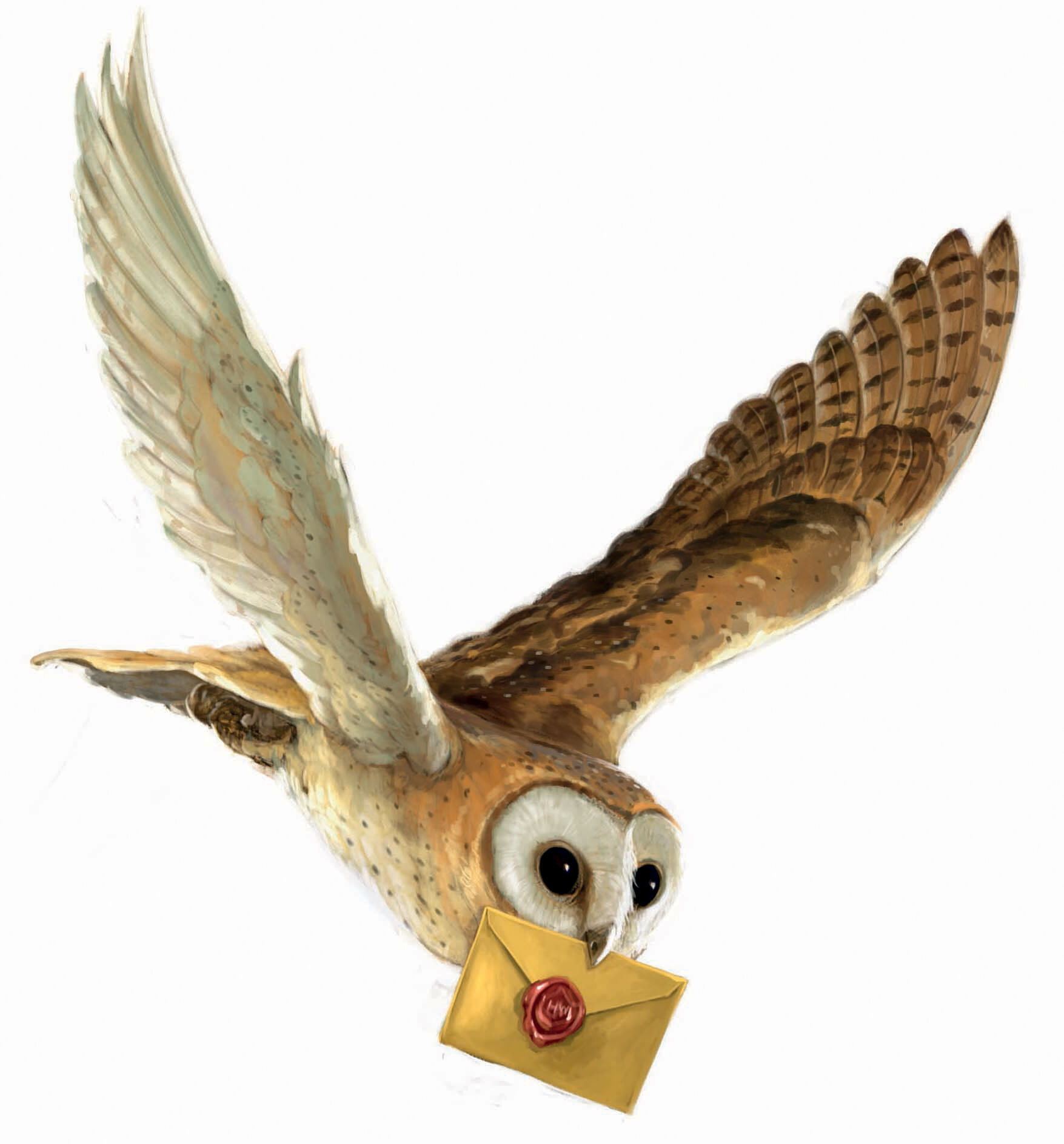 harry potter pet owl