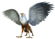 Grifone HM.png (57 KB)