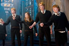 HP5 DA Weasleys