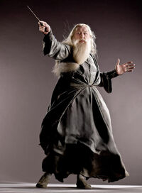 Dumbledorephoto