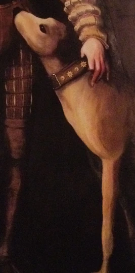 Giffard Abbott's dog