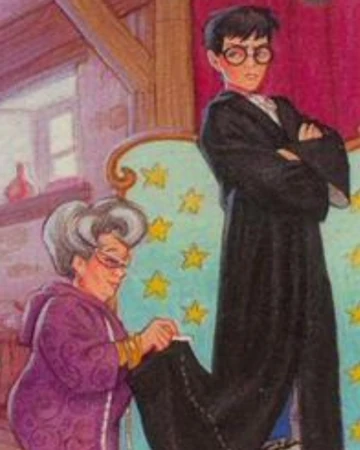 madam malkin lego harry potter