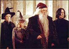 Harry Potter Movie Pictures-Professors