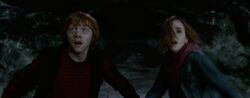 Ron, Hermione-chamber of secrets
