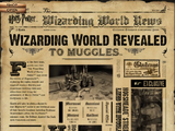 The Wizarding World News