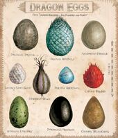 Dragon eggs