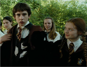 Ginger and neville