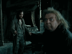 Peter-Pettigrew-prisoner-of-azkaban-6094732-720-540