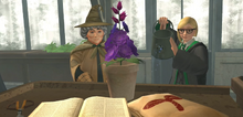 Puffapod Herbology lesson HM531h
