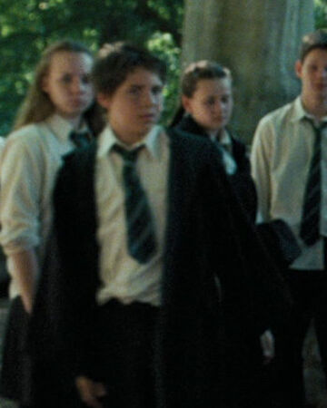 Unidentified Slytherin Boy I Harry Potter Wiki Fandom