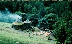 Хижина Хагрида: вид сверху