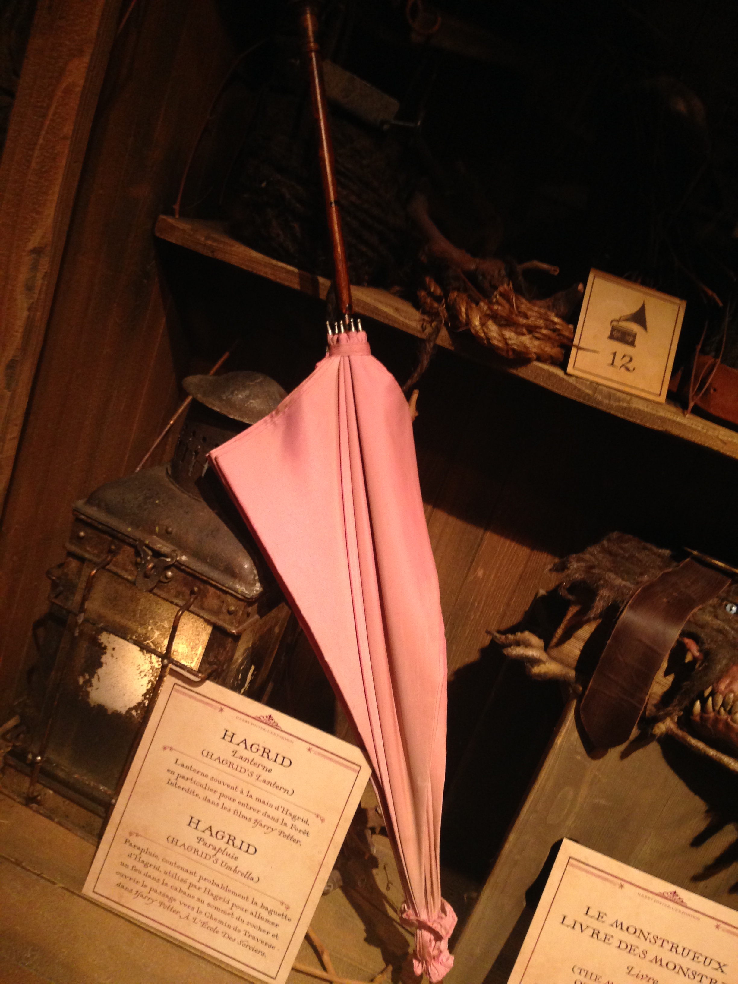 Parapluie rose de Rubeus Hagrid, Wiki Harry Potter