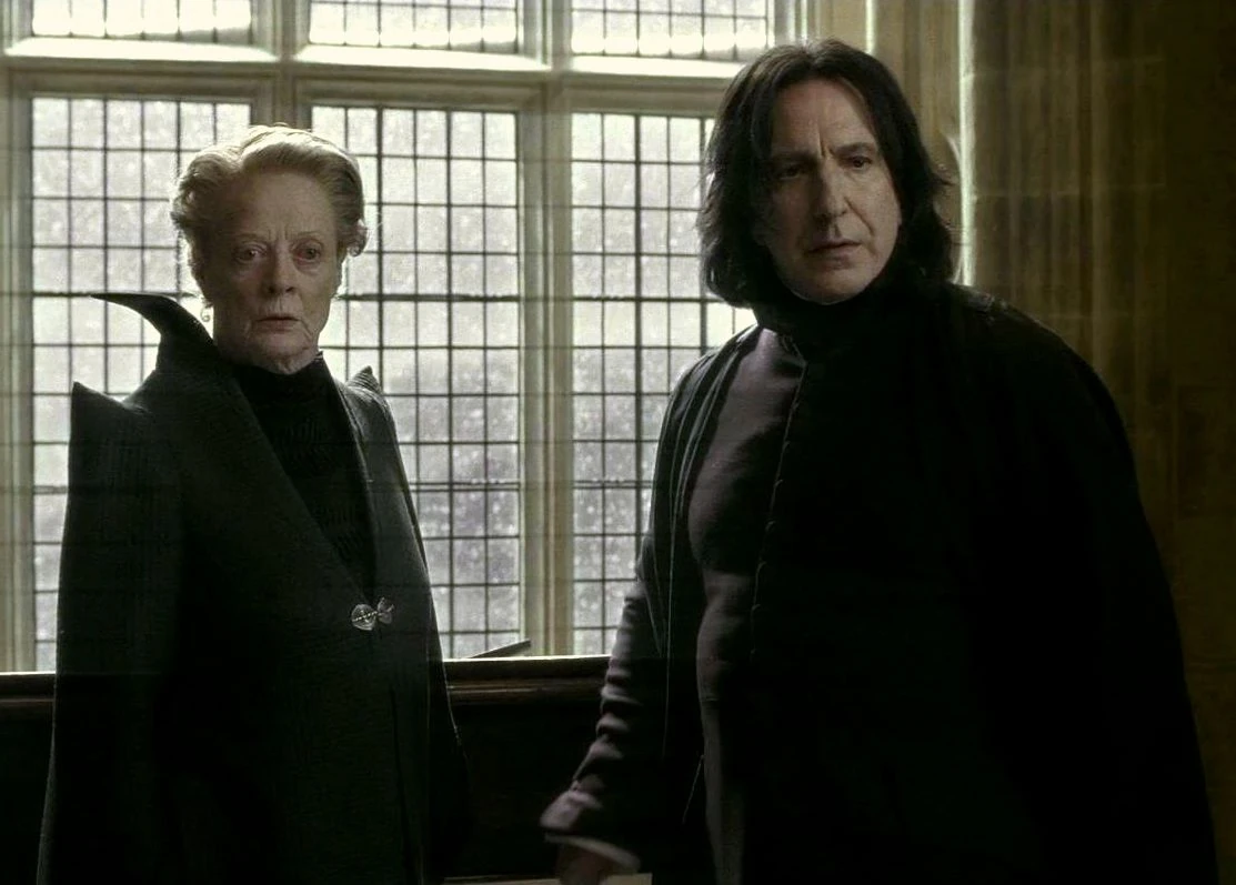 In Welchem Haus War Hagrid