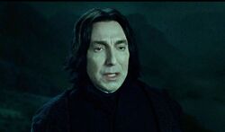 Snape before Dumbledore DHF2