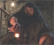 Hagrid