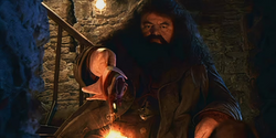 Hagrid