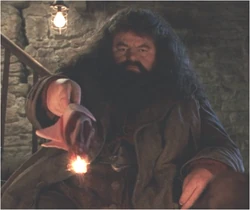 Hagrid