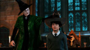 Harry Potter being Sorted with the Sorting Ceremony
