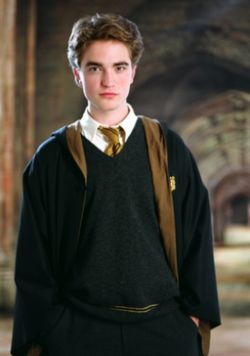 Cedric Diggory, Harry Potter Wiki