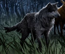 Werewolf