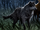 Werewolf