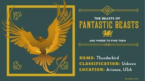 What Is a Thunderbird? The Beasts Of Fantastic Beasts And Where To Find Them