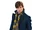 FBaWtFT promo Newt Salamander 4.jpg
