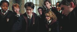 Gryffindors admiring Harry's firebolt