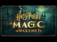 Harry Potter- Magic Awakened - Game Fly-Through