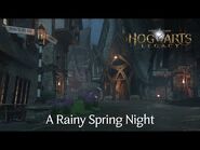 Rainy Spring Night ASMR Video