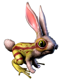 Frog-Rabbit WBoS