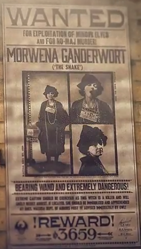 Morwena Ganderwort - wanted poster