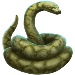 Nagini Harry Potter Wiki Fandom