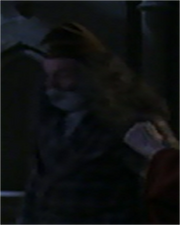 BeardedMan.png