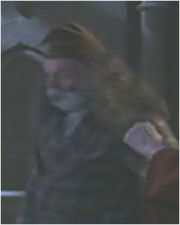 BeardedMan