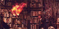 Fawkes 003